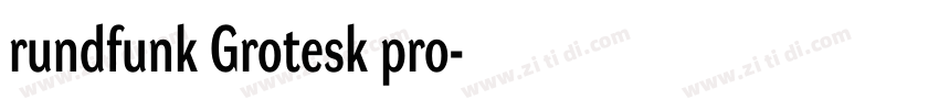 rundfunk Grotesk pro字体转换
